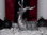 Advent wreath "Deer in the SNOW-XMAS"