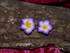 Laguna Beach - Blumen Ohrringe 925 silber