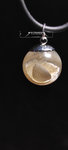 Jewelry chain ball shell gift nature