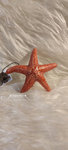 Deco starfish 12cm paper figure fish bath